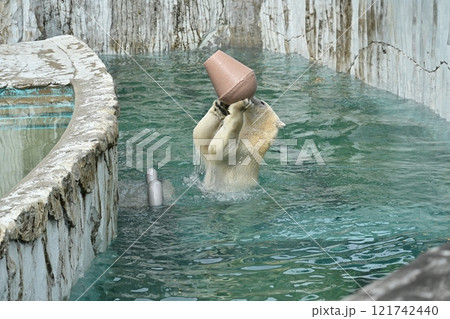 シロクマ 121742440