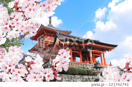Ancient pavilion and blooming sakura branches, Kiyomizu-dera Temple (Clean Water Temple). Spring time in Kyoto, Japan. Sakura blossom season. Cherry blossoming season in Asia. Japanese hanami festival Ancient pavilion and blooming sakura branches, Kiyomizu-dera Temple (Clean Water Temple). Spring time in Kyoto, Japan. Sakura blossom season. Cherry blossoming season in Asia. Japanese hanami festival 121742743