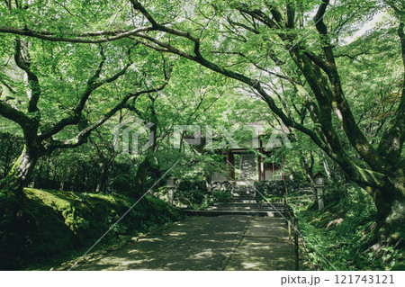 新緑の常寂光寺 121743121
