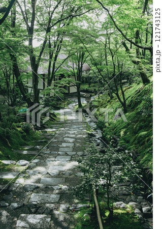 新緑の常寂光寺 新緑の常寂光寺 121743125