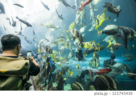 View of the fishes at the Underwater Tunnel at the National Museum of Marine Biology and Aquarium in Kenting National Park of Pingtung, Taiwan. 121743430