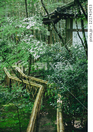 新緑の滝口寺 121743453