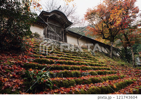 常照皇寺の紅葉 121743604