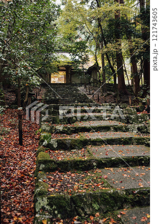 常照皇寺の紅葉 121743605