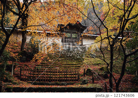 常照皇寺の紅葉 121743606