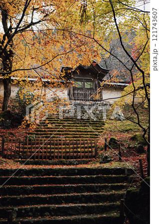 常照皇寺の紅葉 121743607