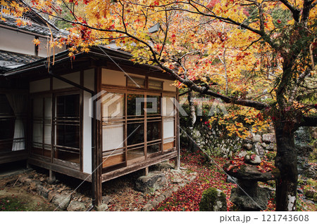 常照皇寺の紅葉 常照皇寺の紅葉 121743608