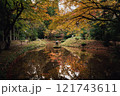 常照皇寺の紅葉 121743611