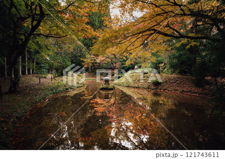 常照皇寺の紅葉 121743611