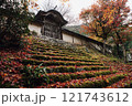常照皇寺の紅葉 121743612
