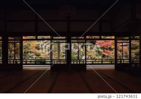 常照皇寺の紅葉 121743631