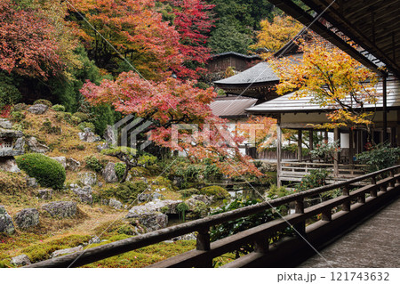 常照皇寺の紅葉 常照皇寺の紅葉 121743632