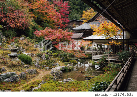 常照皇寺の紅葉 常照皇寺の紅葉 121743633