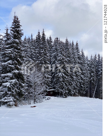 Winter Landscape with Snow-Covered Trees 121744028