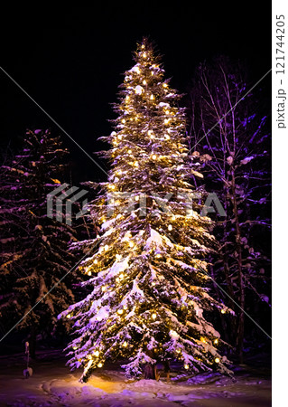 クリスマスの美瑛　白金ビルケ 121744205