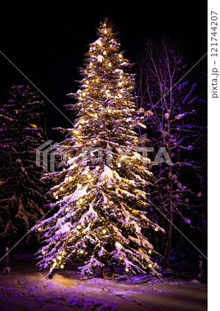 クリスマスの美瑛 白金ビルケ クリスマスの美瑛 白金ビルケ 121744207