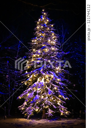 クリスマスの美瑛　白金ビルケ 121744212