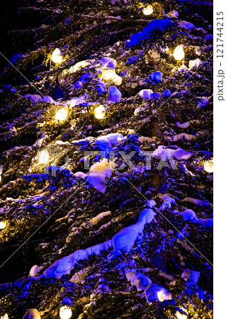 クリスマスの美瑛 白金ビルケ クリスマスの美瑛 白金ビルケ 121744215