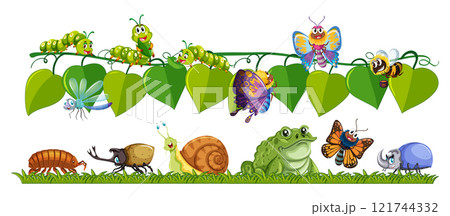 Colorful Insects and Animals on Leaves Colorful Insects and Animals on Leaves 121744332