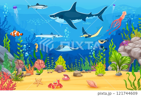 Game sea underwater landscape with shark, seaweed and ocean animals. Sea wildlife creatures vector backdrop, aquatic nature animals game background with manta ray, squid, barracuda and puffer fish Game sea underwater landscape with shark, seaweed and ocean animals. Sea wildlife creatures vector backdrop, aquatic nature animals game background with manta ray, squid, barracuda and puffer fish 121744609