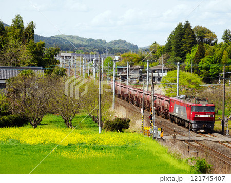菜の花咲く春のときわ路を走る安中貨物 菜の花咲く春のときわ路を走る安中貨物 121745407