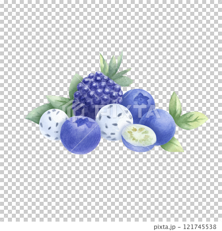 Blueberry, blackberry, mint and candy with chia seeds watercolor composition. Hand drawn isolated illustration juicy wild berries bilberry and dewberry for foodstuff package and healthy food cookbook. 121745538