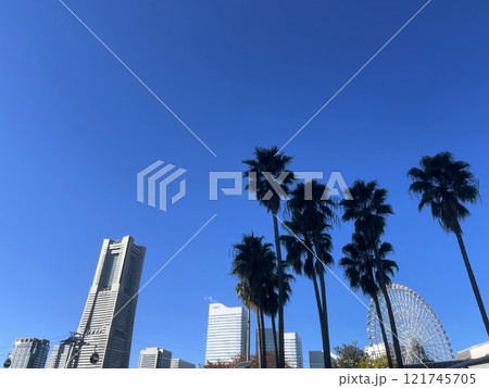 skyscraper in Japan in Yokohama with palm trees 121745705