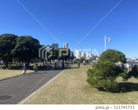 Japanese pine tree in park with lawn in embankment park in Yokohama 121745731