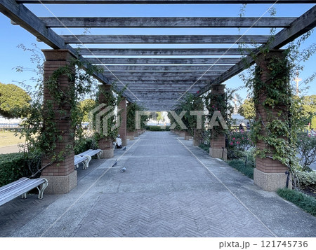 park with brick columns with roses in Japan park with brick columns with roses in Japan 121745736