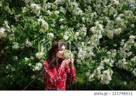 A young Russian brunette woman in a red plaid shirt smells a blooming apple tree branch in spring, surrounded by lush white blossoms in a peaceful garden 121746011