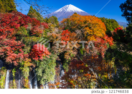 静岡県富士宮市上井出 世界遺産の富士山を背景に紅葉モミジが鮮やかな白糸の滝の景色 静岡県富士宮市上井出 世界遺産の富士山を背景に紅葉モミジが鮮やかな白糸の滝の景色 121746838