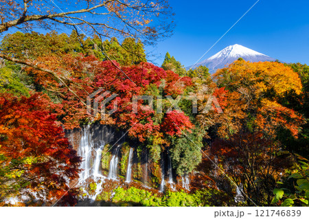 静岡県富士宮市上井出 世界遺産の富士山を背景に紅葉モミジが鮮やかな白糸の滝の景色 静岡県富士宮市上井出 世界遺産の富士山を背景に紅葉モミジが鮮やかな白糸の滝の景色 121746839