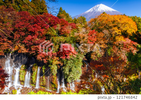 静岡県富士宮市上井出　世界遺産の富士山を背景に紅葉モミジが鮮やかな白糸の滝の景色 121746842