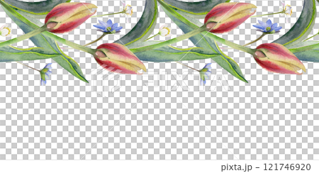 Spring flowers, yellow and red tulip, blue hepatica forget-me-not, white forest anemone primrose, grass, hand drawn in watercolor. Seamless banner illustration. Wedding, florist shop, stationery. 121746920