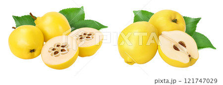 Fresh quince with half isolated on the white background with full depth of field 121747029