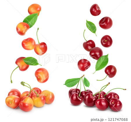 yellow-red sweet cherry isolated on white background with full depth of field 121747088
