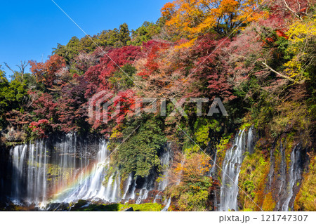 静岡県富士宮市上井出 世界遺産構成資産の白糸の滝に虹と紅葉モミジが映える景色 静岡県富士宮市上井出 世界遺産構成資産の白糸の滝に虹と紅葉モミジが映える景色 121747307