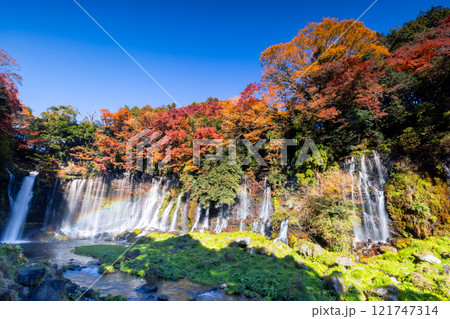 静岡県富士宮市上井出　世界遺産構成資産の白糸の滝に虹と紅葉モミジが映える景色 121747314