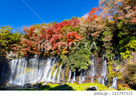 静岡県富士宮市上井出　世界遺産構成資産の白糸の滝に虹と紅葉モミジが映える景色 121747315