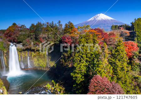 静岡県富士宮市上井出　世界遺産の富士山を背景に紅葉モミジが鮮やかな音止の滝の景色 121747605