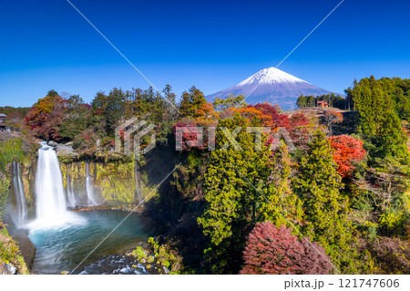 静岡県富士宮市上井出 世界遺産の富士山を背景に紅葉モミジが鮮やかな音止の滝の景色 静岡県富士宮市上井出 世界遺産の富士山を背景に紅葉モミジが鮮やかな音止の滝の景色 121747606
