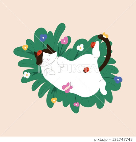 Tuxedo cat relaxing on grass surrounded by colorful flowers, ladybugs and butterfly in flat style. Perfect for spring, summer, nature and children design. Tuxedo cat relaxing on grass surrounded by colorful flowers, ladybugs and butterfly in flat style. Perfect for spring, summer, nature and children design. 121747745