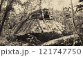 ジャングルの奥地で発見された古代遺跡1　都市伝説 121747750