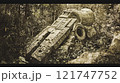 ジャングルの奥地で発見された古代遺跡3　都市伝説 121747752