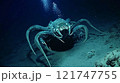 深海で新たに発見された新種の未確認海洋生物 121747755