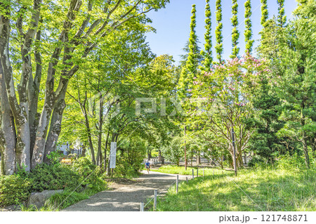 北浦和公園 北浦和公園 121748871