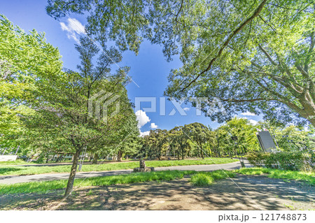 北浦和公園 121748873