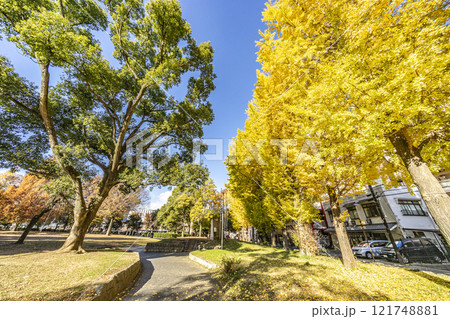 北浦和公園 北浦和公園 121748881