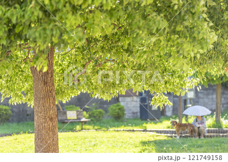 北浦和東公園 121749158