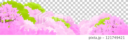 山桜の水彩画 山桜の水彩画 121749421